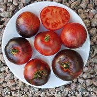 Pomme D’or De Saint-Jean-de-Beauregard